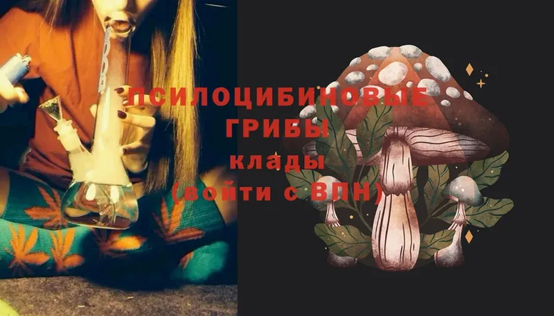 Галлюциногенные грибы Cubensis  Биробиджан 